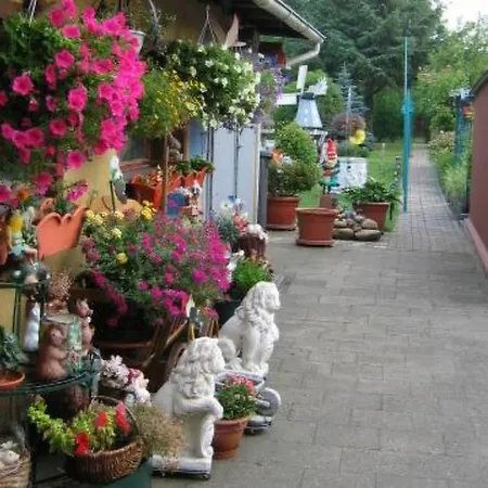 Appartement Ferienwohnung Seestern